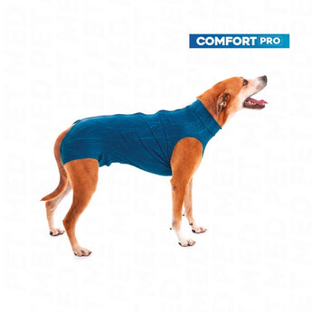 #cor_azul