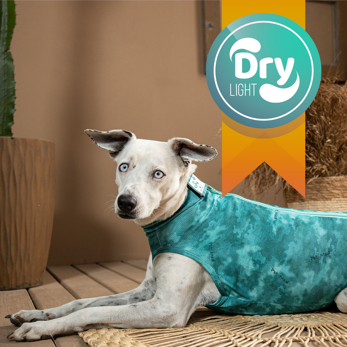 Tecnologia Dry Light Pet Med