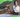 Agosto Verde-Claro: Câncer em pets – como adaptar a casa para mais conforto durante o tratamento?