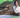 Agosto Verde-Claro: Câncer em pets – como adaptar a casa para mais conforto durante o tratamento?
