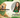 Saúde hepática em pets: o que todo familiar responsável precisa saber