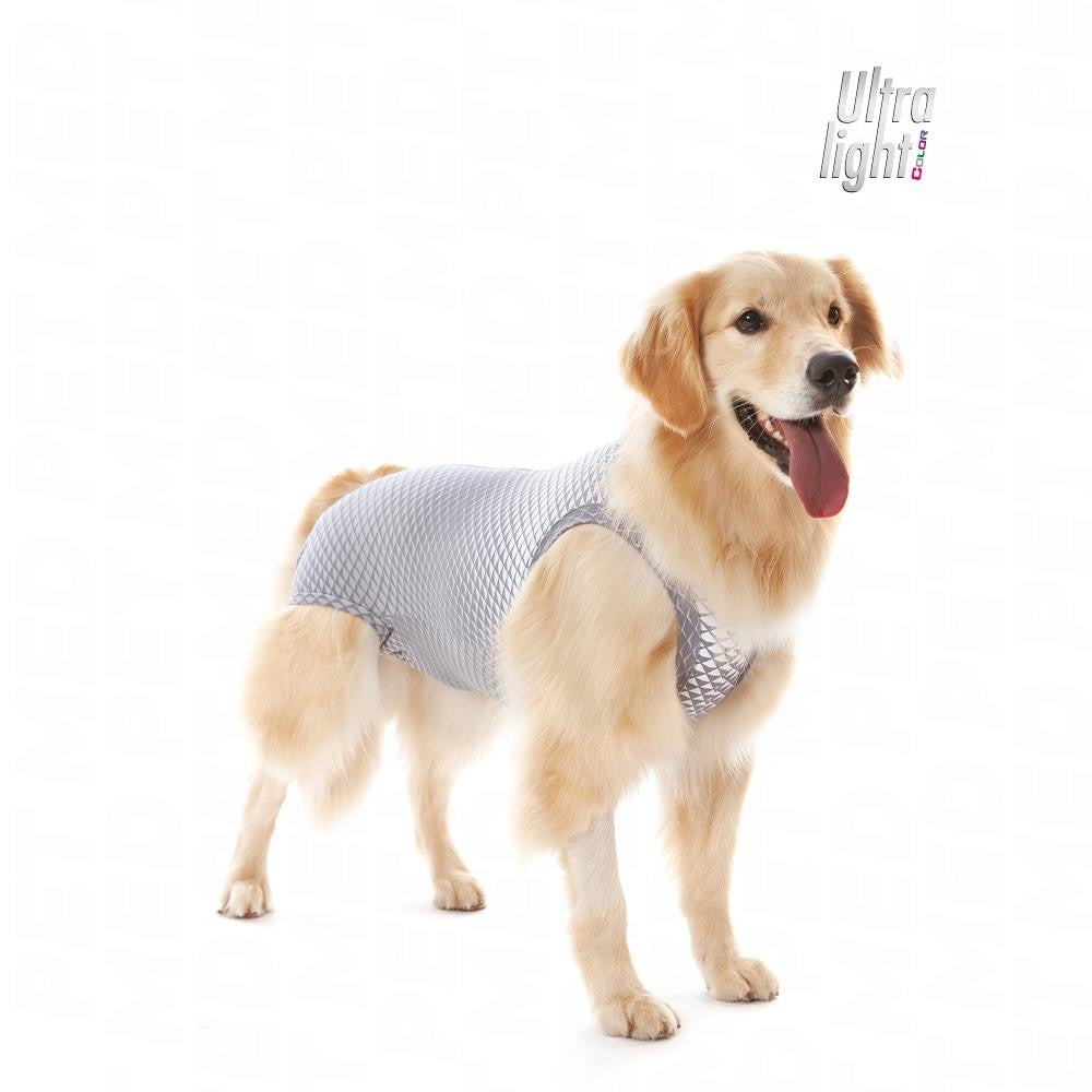 Ultralight Color Roupa Pós-Cirúrgica para Cães machos e Fêmeas Ultralight Color | Pet ...