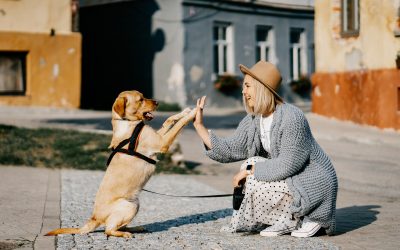 Terapia com Animaizinhos!