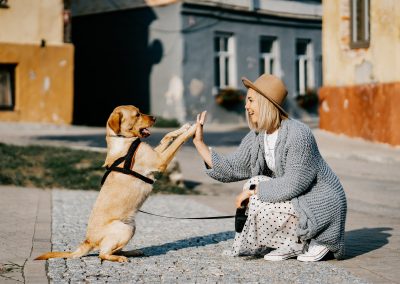 Terapia com Animaizinhos!