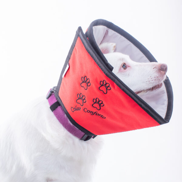 Colar Conforto | Comfort Collar | Collarín Comfort - Image 3
