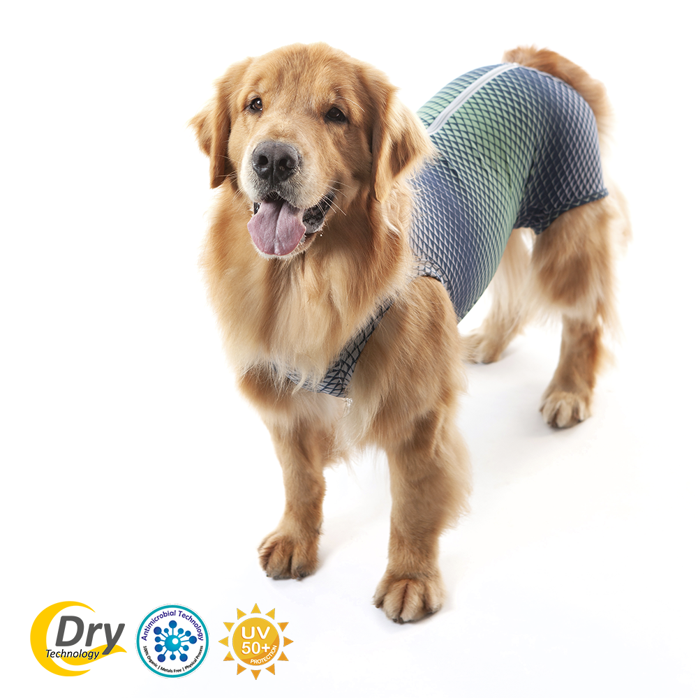 Roupa Pós Castração Pet Med Duo Dry Verde Para Cães Tamanho 14