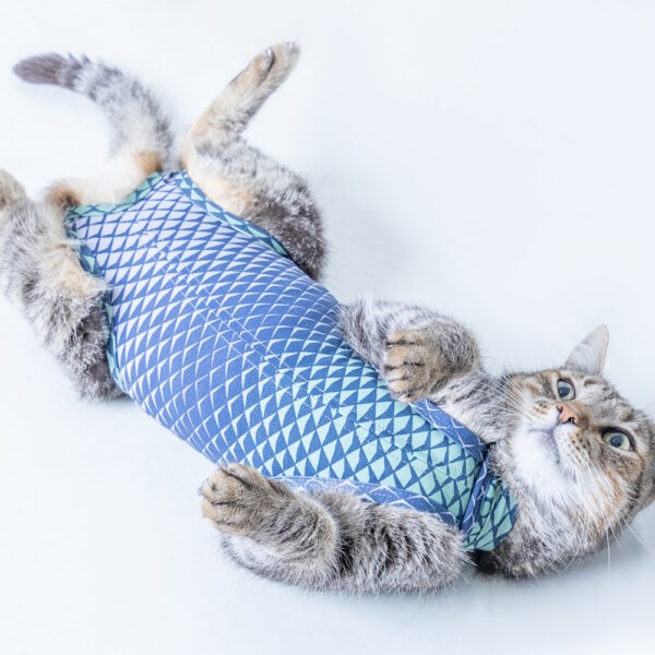 Roupa Protetora UltraLight Color Exclusiva para Gatos - Image 3
