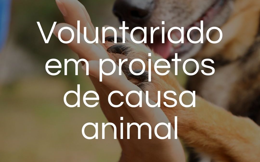 Como ser voluntária nos Projetos de responsabilidade animal mudou minha vida