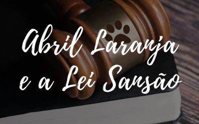 Abril Laranja: o que muda no direito dos animais com a Lei Sansão