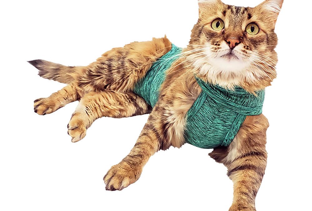 PET MED – Roupas Protetoras para Gatos