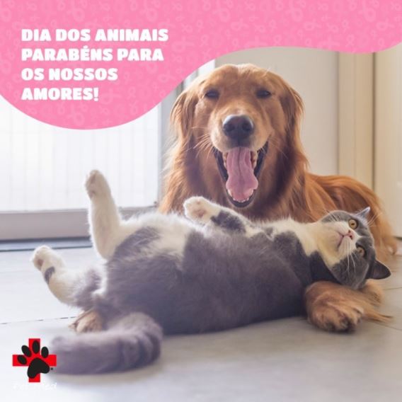 Dia Mundial dos Animais!  A Pet Med comemora todos os dias!!!