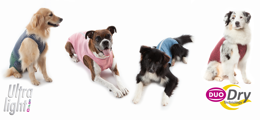 Roupas Protetoras e Pós-Cirúrgicas: Os benefícios dos tecidos tecnológicos Pet Med