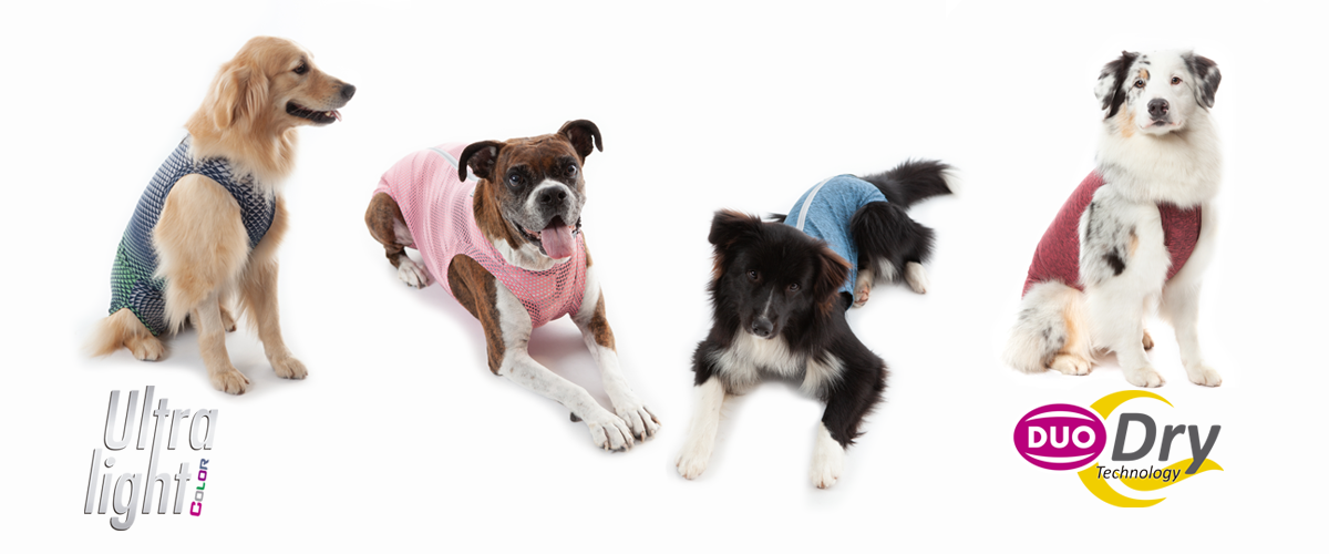 Roupas para Pets - Benefícios para Cães e Gatos