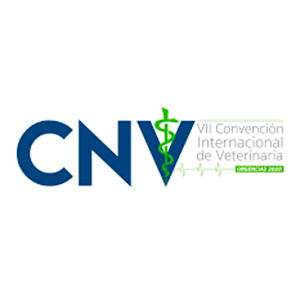 CNV Guatemala