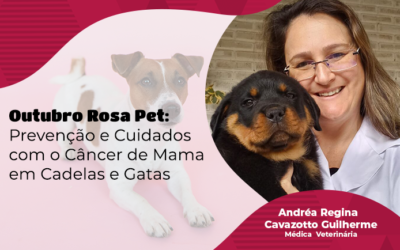 Outubro Rosa Pet: Prevenção e Cuidados com o Câncer de Mama em Cadelas e Gatas