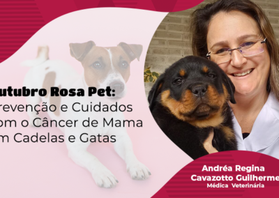 Outubro Rosa Pet: Prevenção e Cuidados com o Câncer de Mama em Cadelas e Gatas