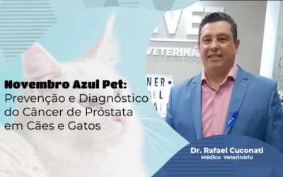 Novembro Azul Pet: Prevenção e Diagnóstico do Câncer de Próstata em Cães e Gatos