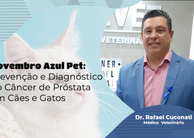 Novembro Azul Pet: Prevenção e Diagnóstico do Câncer de Próstata em Cães e Gatos