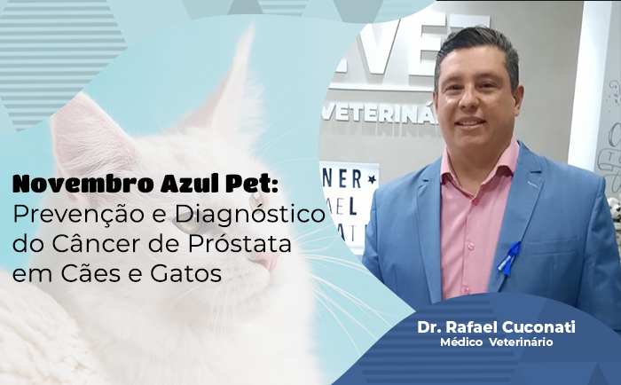 Novembro Azul Pet: Prevenção e Diagnóstico do Câncer de Próstata em Cães e Gatos