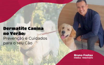 Dermatite Canina no Verão: Prevenção e Cuidados para o seu Cão