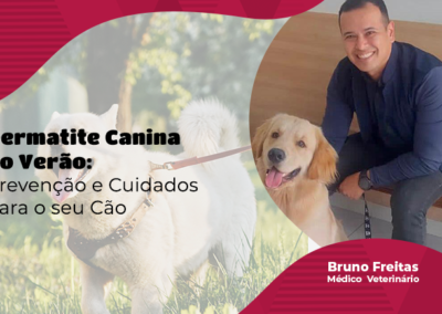 Dermatite Canina no Verão: Prevenção e Cuidados para o seu Cão