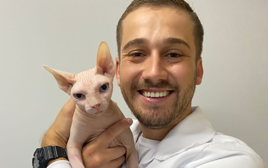 Fevereiro Laranja: cuidados e prevenções para que seu gato não tenha FeLV