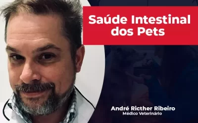 Março Azul Marinho: cuidados com a saúde intestinal dos pets