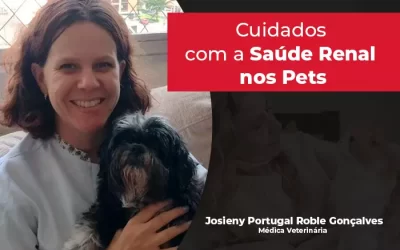 Março vermelho: cuidados com a saúde renal nos pets