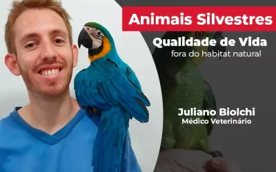 Como dar melhor qualidade de vida aos animais silvestres que vivem como pets, fora do habitat natural?