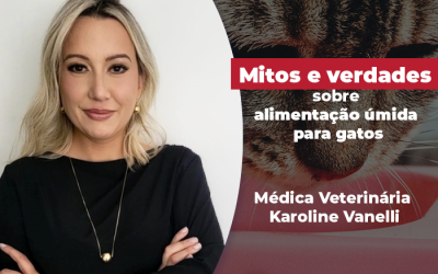 Mitos e verdades sobre alimentação úmida para gatos