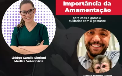 Agosto dourado: importância da amamentação para cães e gatos e cuidados com a gestante⠀