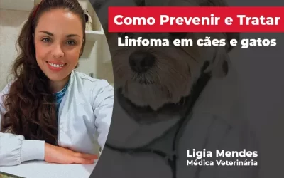 Agosto verde: como prevenir e tratar os casos de linfoma em cães e gatos?