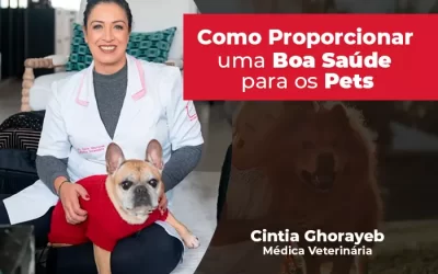 Saiba como proporcionar uma boa saúde para os pets