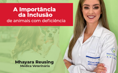 Setembro verde: a importância da inclusão de animais com deficiência