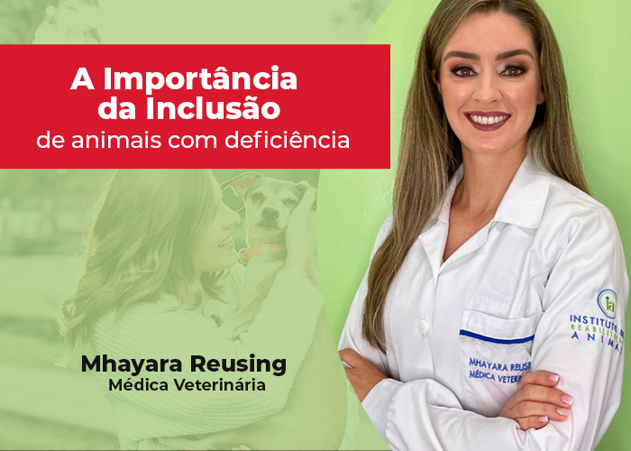 Setembro verde: a importância da inclusão de animais com deficiência