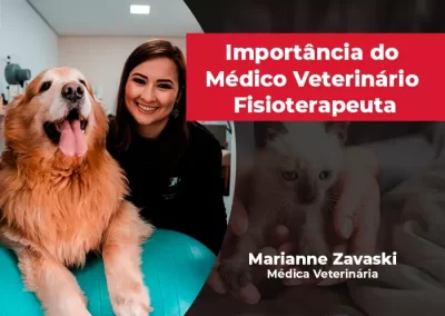 Saiba qual é a importância do Médico Veterinário Fisioterapeuta