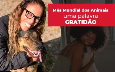 Neste mês Mundial dos Animais a palavra é gratidão