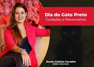 Dia do Gato Preto: