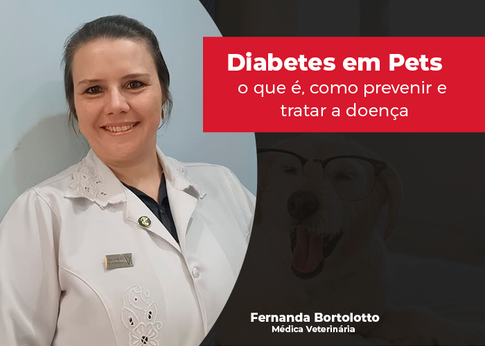 Diabetes o que é, como prevenir e tratar a doença em cães e gatos