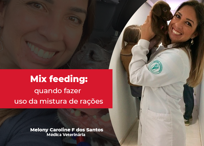 Mix feeding: saiba quando pode e não pode fazer uso da mistura de rações