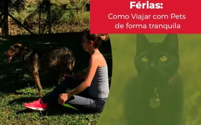 Férias com Pets