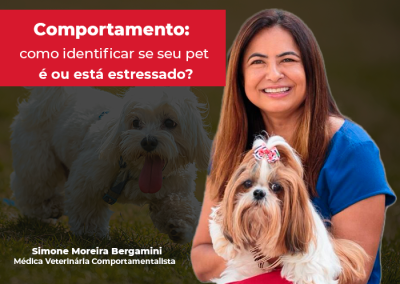 Comportamento: você sabe identificar se o seu pet é ou está estressado?