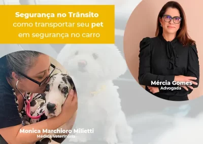 Segurança transporte Pets