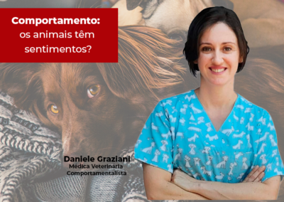 Comportamento: os animais têm sentimentos?