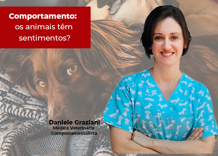 Comportamento: os animais têm sentimentos?