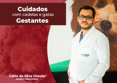 Cuidados com cadelas e gatas gestantes