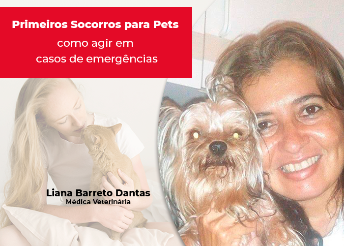 Primeiros socorros para pets: como agir em casos de emergências