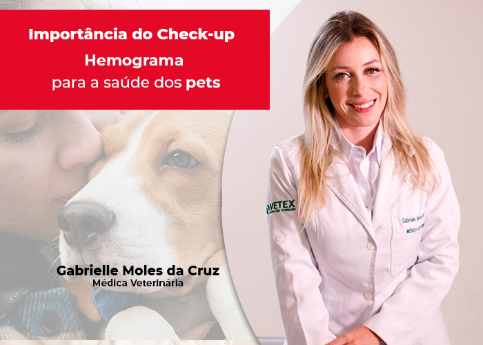 Saiba qual é a importância da realização do Hemograma para a saúde dos pets