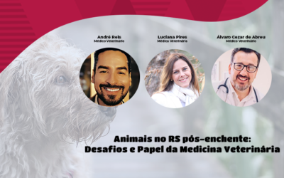 Animais do Rio Grande do Sul: os desafios do período pós-enchente