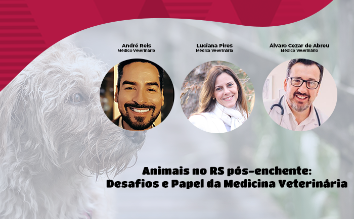 Animais no RS pós-enchente: desafios e papel da medicina veterinária